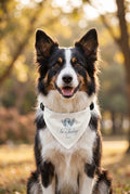Copy of Copy of Daisy Clip-On Pet Bandana — Light Blue Floral Collar Accessory
