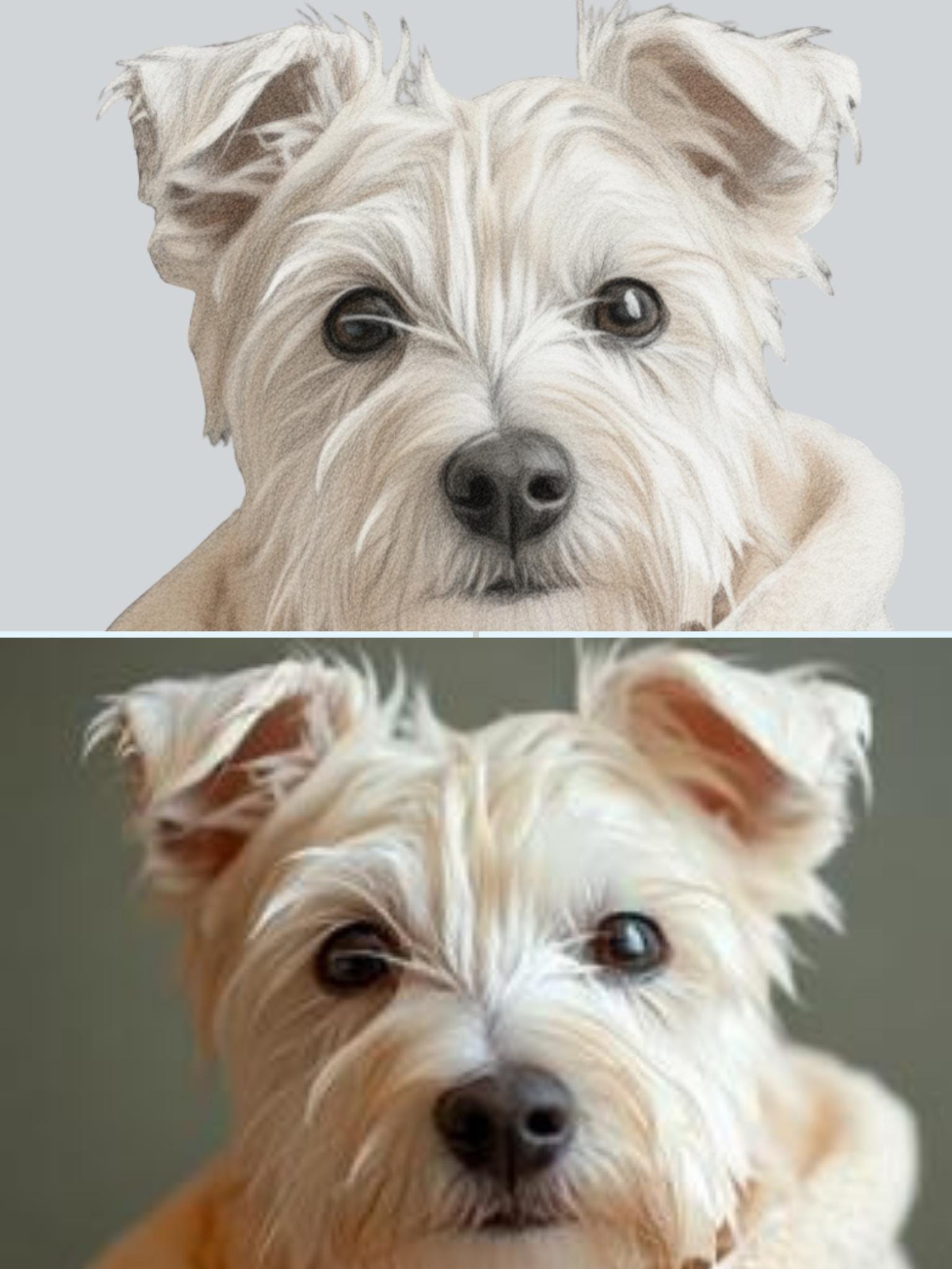 Custom Pet Sketch From Photo | Pencil Portrait | Personalized Drawing | Digital Download | Memorial Pet Gift